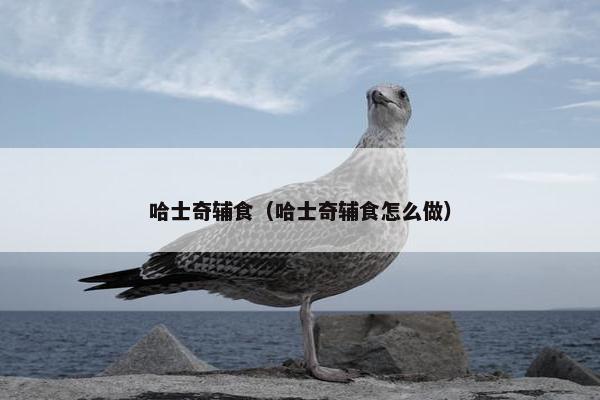 哈士奇辅食（哈士奇辅食怎么做）