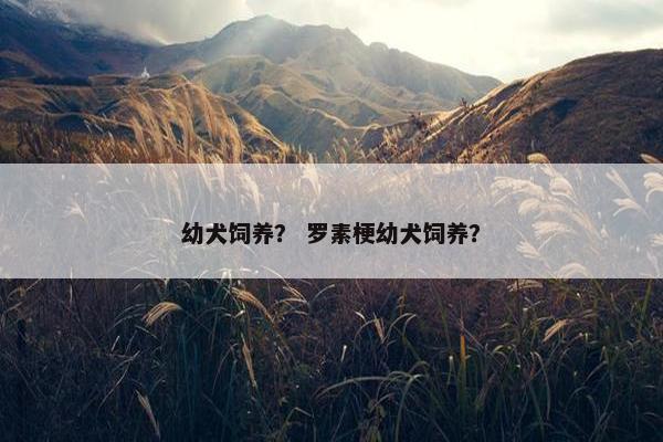 幼犬饲养？ 罗素梗幼犬饲养？