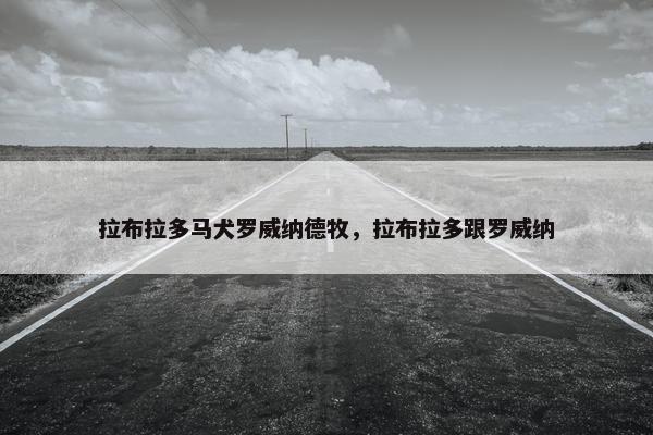 拉布拉多马犬罗威纳德牧，拉布拉多跟罗威纳