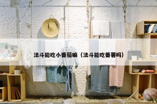 法斗能吃小番茄嘛（法斗能吃番薯吗）