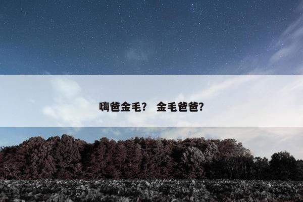 嗨爸金毛？ 金毛爸爸？