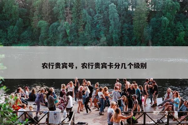 农行贵宾号，农行贵宾卡分几个级别