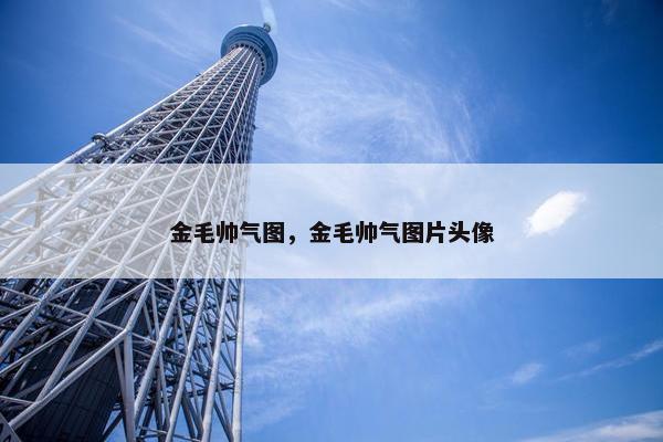 金毛帅气图，金毛帅气图片头像