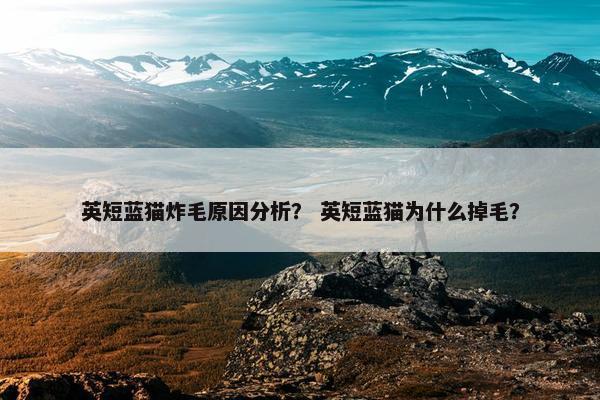 英短蓝猫炸毛原因分析？ 英短蓝猫为什么掉毛？