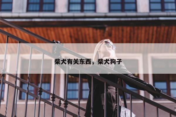 柴犬有关东西，柴犬狗子