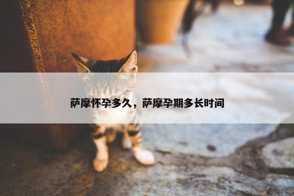 萨摩怀孕多久，萨摩孕期多长时间