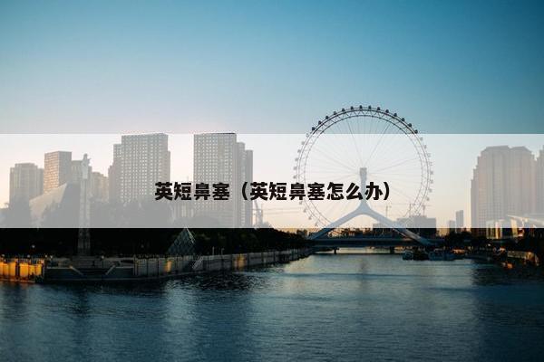 英短鼻塞（英短鼻塞怎么办）