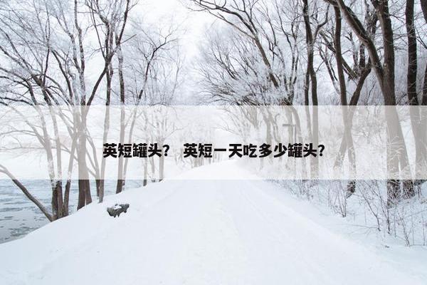 英短罐头？ 英短一天吃多少罐头？