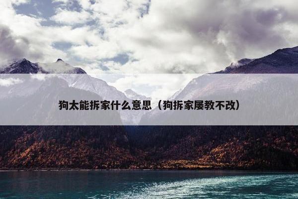狗太能拆家什么意思（狗拆家屡教不改）