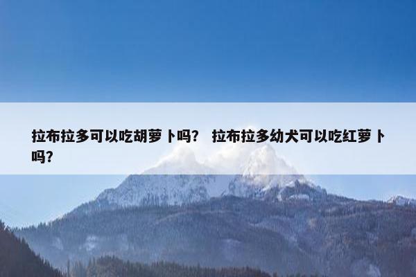 拉布拉多可以吃胡萝卜吗？ 拉布拉多幼犬可以吃红萝卜吗？