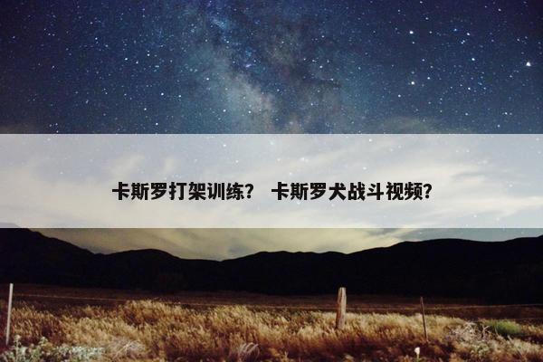 卡斯罗打架训练？ 卡斯罗犬战斗视频？
