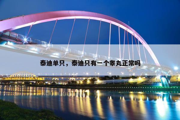泰迪单只，泰迪只有一个睾丸正常吗