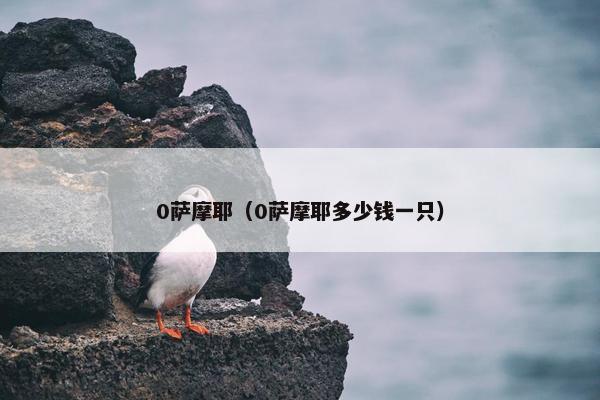 0萨摩耶（0萨摩耶多少钱一只）