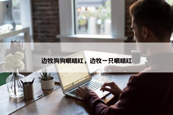 边牧狗狗眼睛红，边牧一只眼睛红