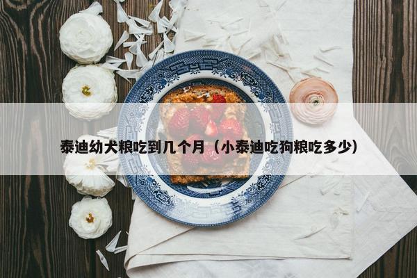 泰迪幼犬粮吃到几个月（小泰迪吃狗粮吃多少）