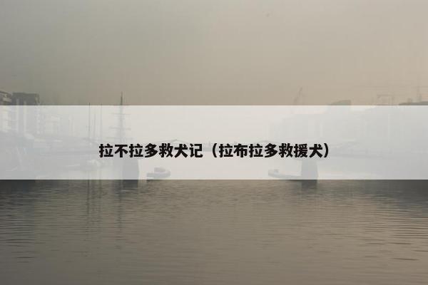 拉不拉多救犬记（拉布拉多救援犬）