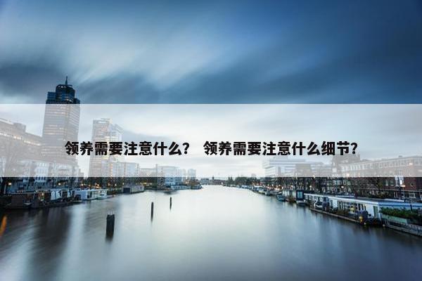 领养需要注意什么？ 领养需要注意什么细节？