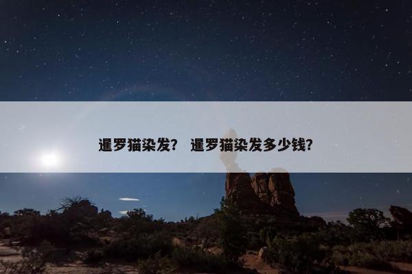 暹罗猫染发？ 暹罗猫染发多少钱？