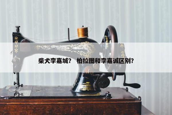 柴犬李嘉城？ 柏拉图和李嘉诚区别？