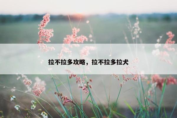 拉不拉多攻略，拉不拉多拉犬