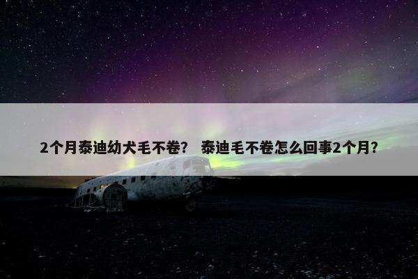 2个月泰迪幼犬毛不卷？ 泰迪毛不卷怎么回事2个月？