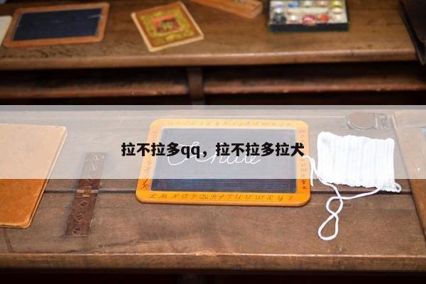 拉不拉多qq，拉不拉多拉犬