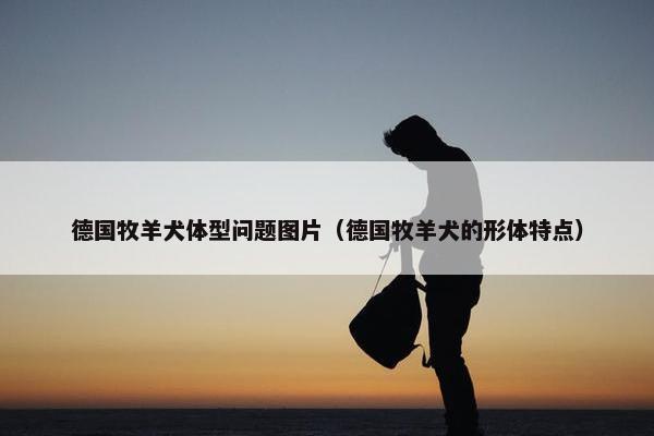 德国牧羊犬体型问题图片（德国牧羊犬的形体特点）