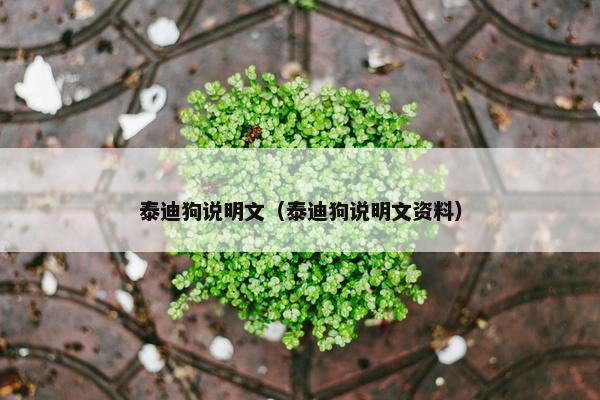 泰迪狗说明文（泰迪狗说明文资料）