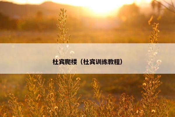 杜宾爬楼（杜宾训练教程）