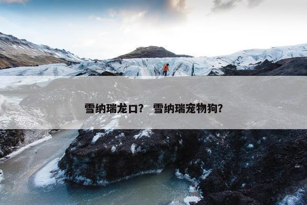 雪纳瑞龙口？ 雪纳瑞宠物狗？