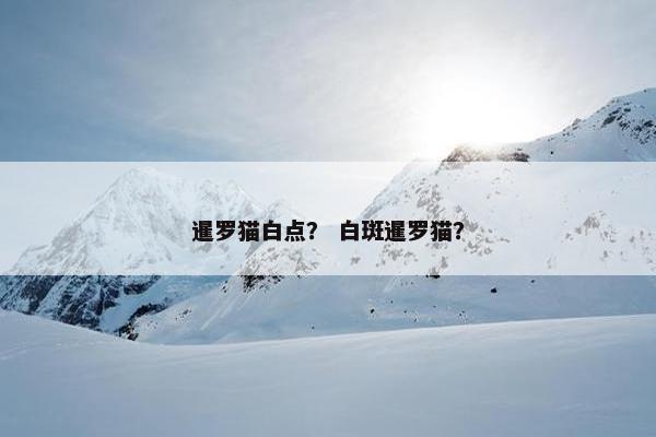 暹罗猫白点？ 白斑暹罗猫？