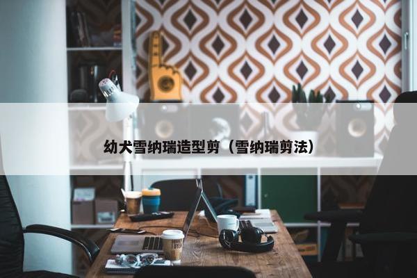 幼犬雪纳瑞造型剪（雪纳瑞剪法）