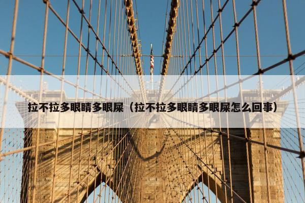 拉不拉多眼睛多眼屎（拉不拉多眼睛多眼屎怎么回事）