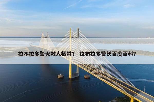 拉不拉多警犬救人牺牲？ 拉布拉多警长百度百科？