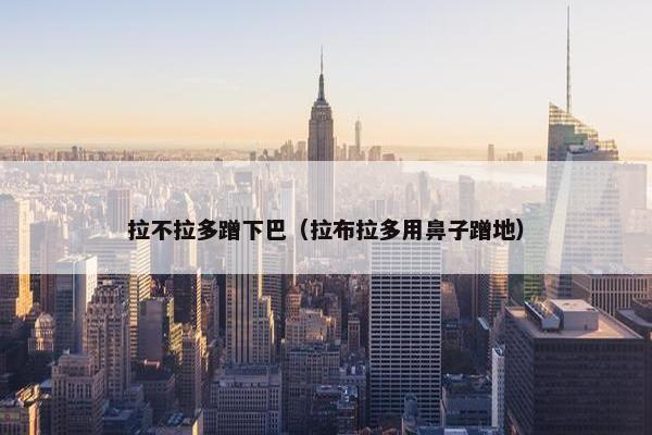拉不拉多蹭下巴（拉布拉多用鼻子蹭地）