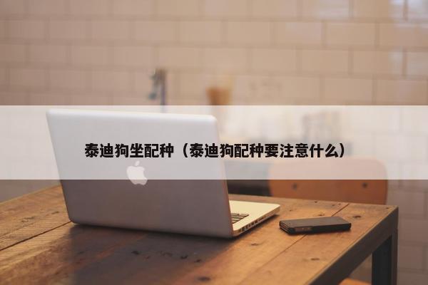 泰迪狗坐配种（泰迪狗配种要注意什么）