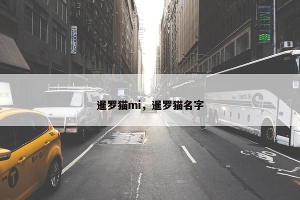 暹罗猫mi，暹罗猫名字
