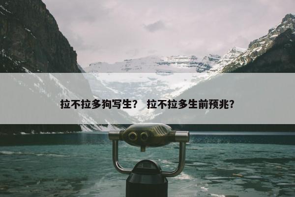 拉不拉多狗写生？ 拉不拉多生前预兆？