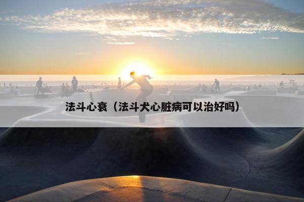 法斗心衰（法斗犬心脏病可以治好吗）