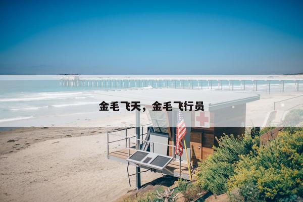 金毛飞天，金毛飞行员