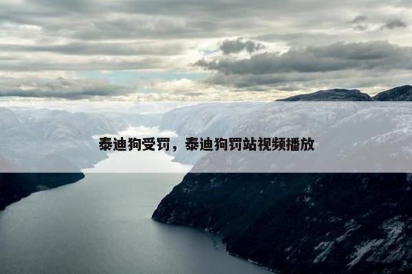 泰迪狗受罚，泰迪狗罚站视频播放
