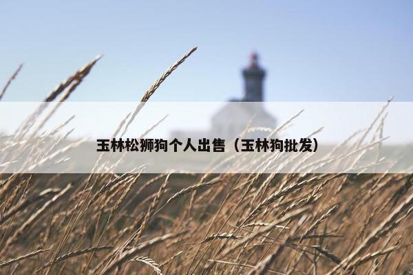玉林松狮狗个人出售（玉林狗批发）