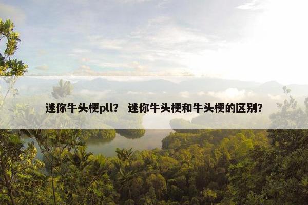 迷你牛头梗pll？ 迷你牛头梗和牛头梗的区别？