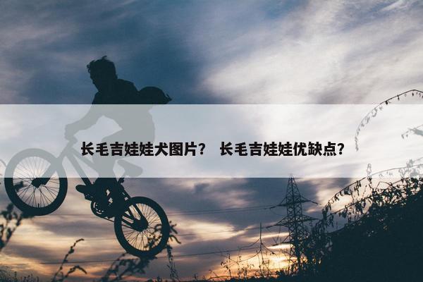 长毛吉娃娃犬图片？ 长毛吉娃娃优缺点？