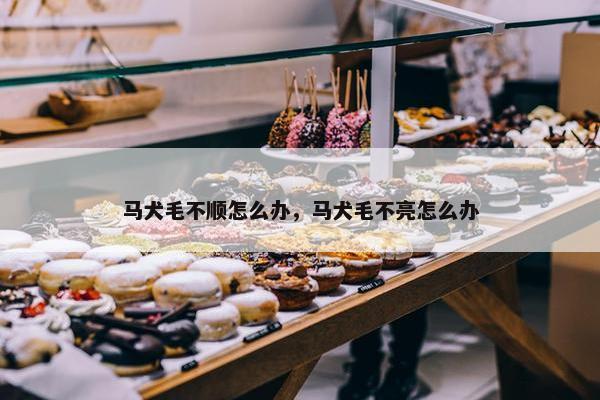 马犬毛不顺怎么办，马犬毛不亮怎么办