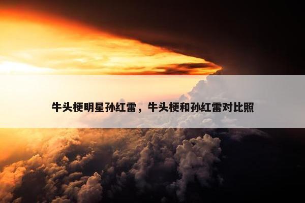 牛头梗明星孙红雷，牛头梗和孙红雷对比照