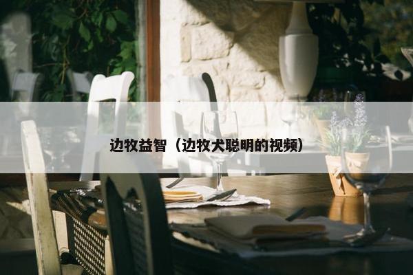 边牧益智（边牧犬聪明的视频）