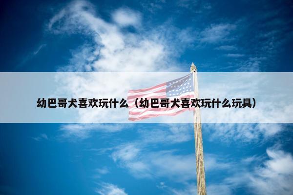 幼巴哥犬喜欢玩什么（幼巴哥犬喜欢玩什么玩具）