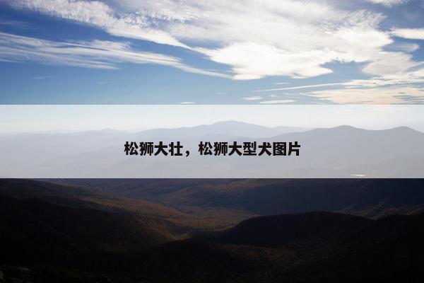 松狮大壮，松狮大型犬图片