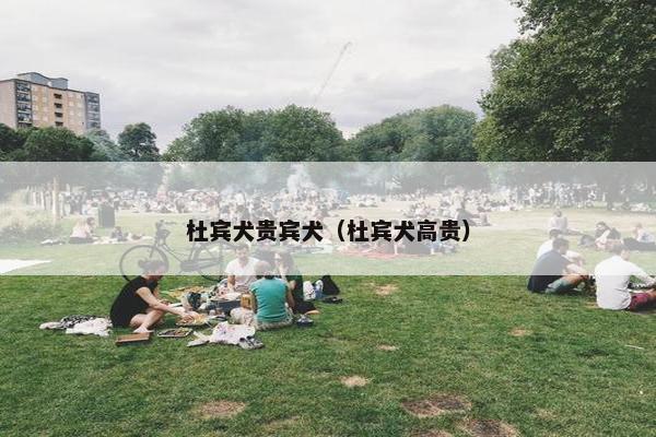 杜宾犬贵宾犬（杜宾犬高贵）